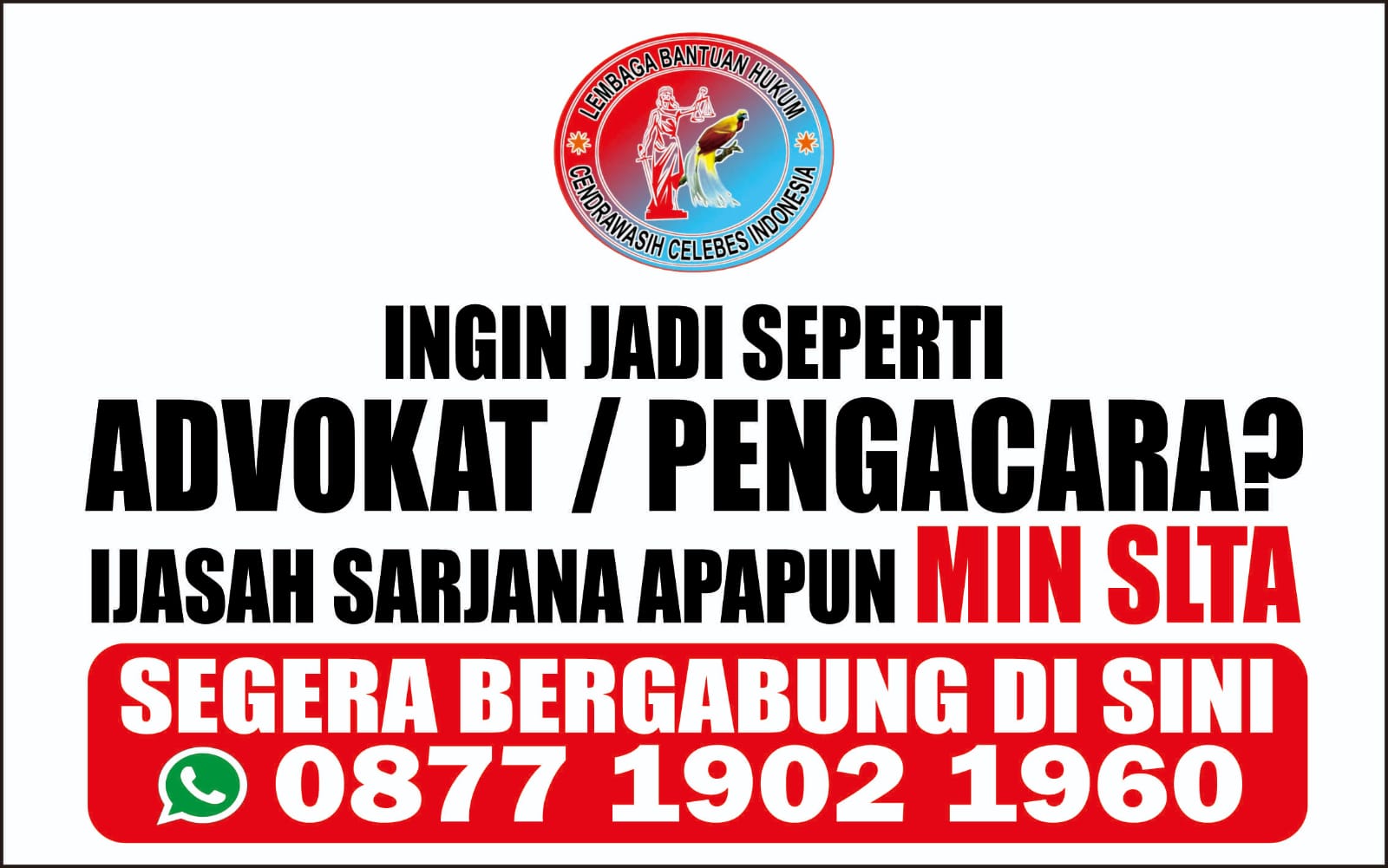 spot_img