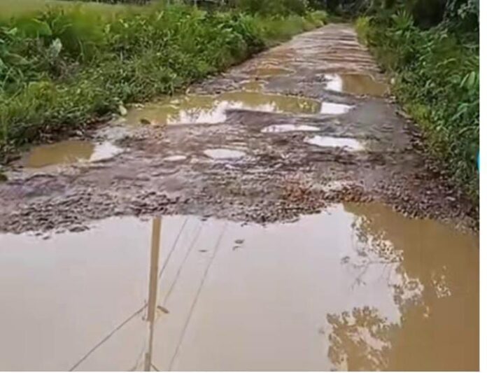 Kondisi jalan Paya Luah Padang Sikabu Aceh Barat rusak dan berlubang